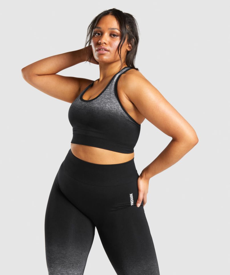 Staniki Sportowe Gymshark Adapt Ombre Seamless Damskie Czarne | PL 513WUD